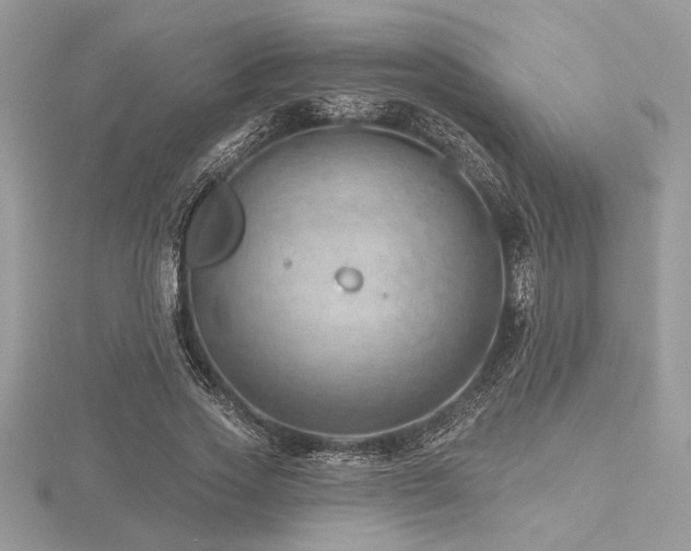 X0000116490733200912091420