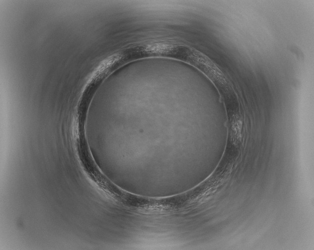 X0000116490734200912091420