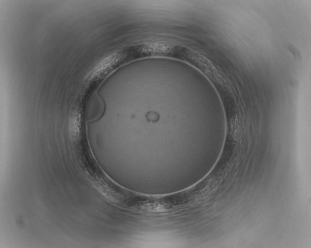 X0000116490735200912091420