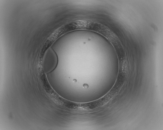 X0000116490737200912091420