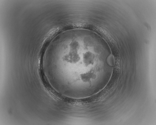 X0000116490738200912091420