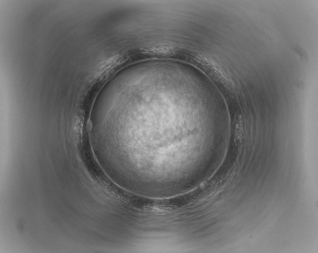 X0000116490739200912091420