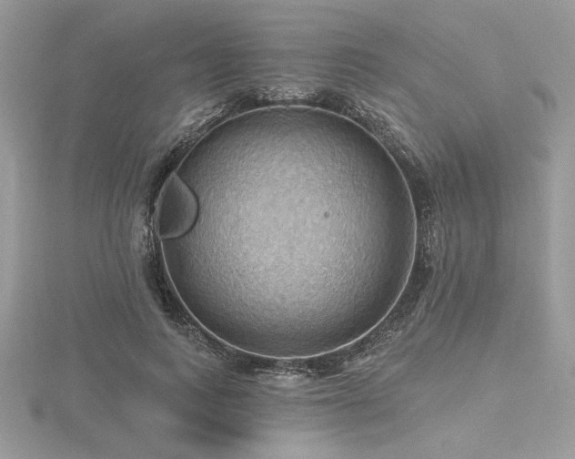 X0000116490743200912091420