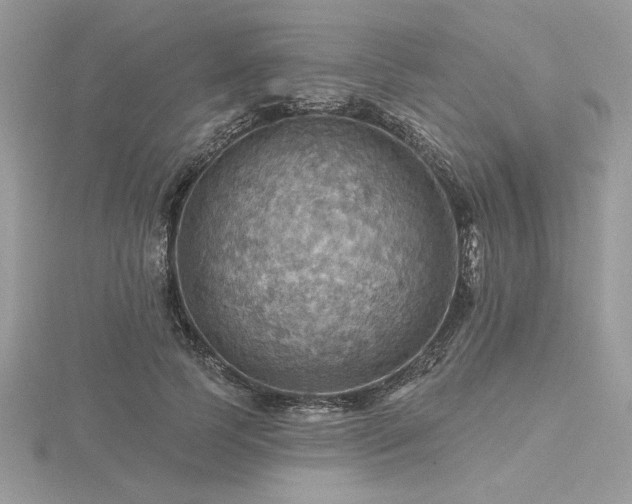 X0000116490745200912091420