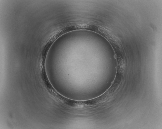 X0000116490746200912091420