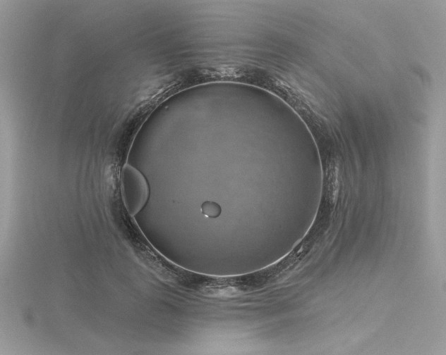 X0000116490747200912091420