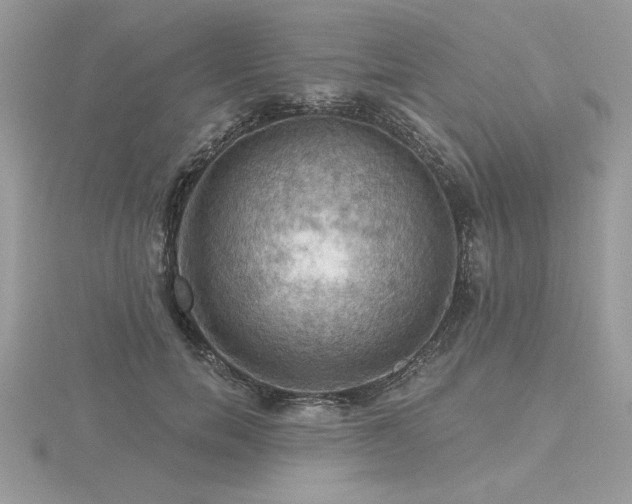 X0000116490750200912091420