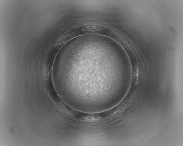 X0000116490751200912091420