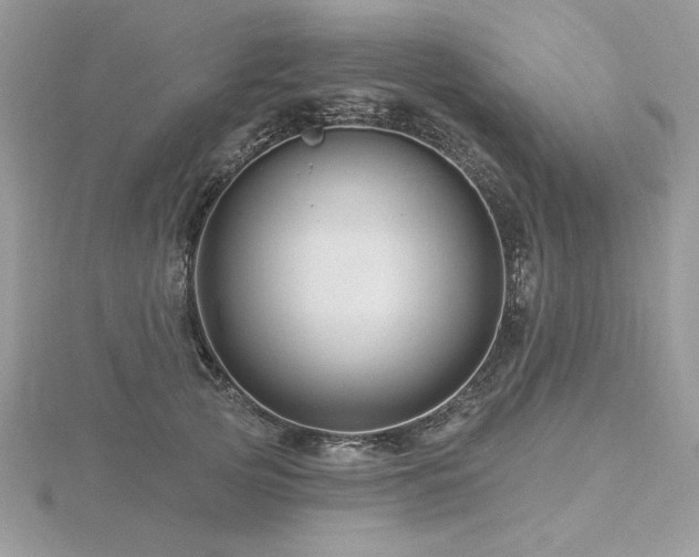 X0000116490753200912091420