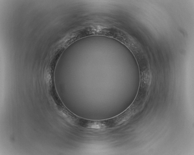 X0000116490754200912091420