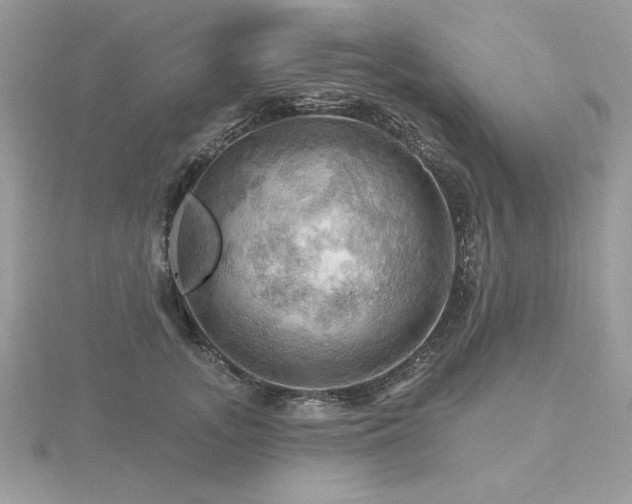 X0000116490755200912091420