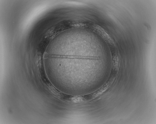 X0000116490762200912091420