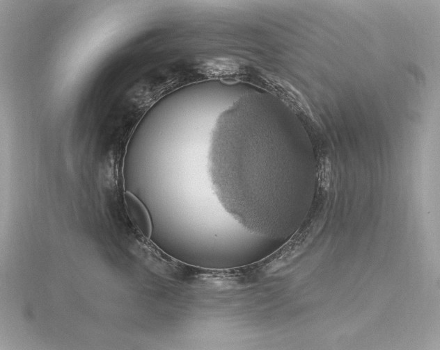 X0000116490763200912091420