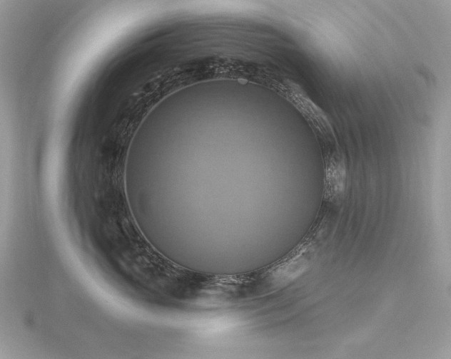 X0000116490765200912091420