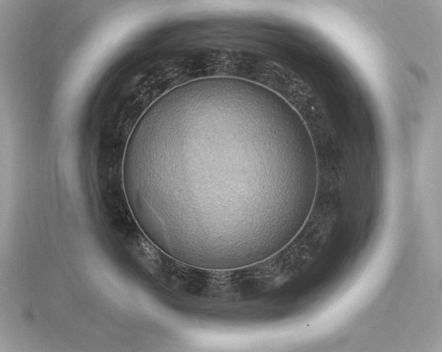 X0000116490766200912091420