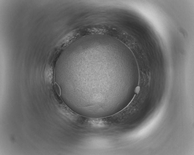 X0000116490767200912091420