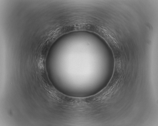 X0000116490770200912091420