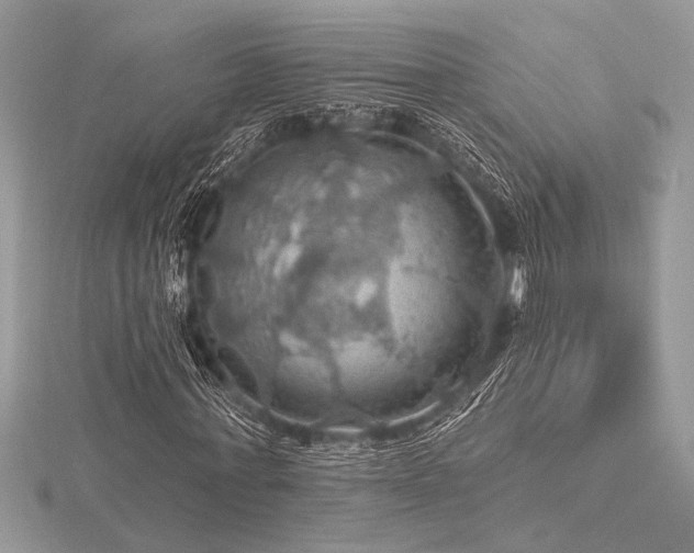 X0000116490771200912091420