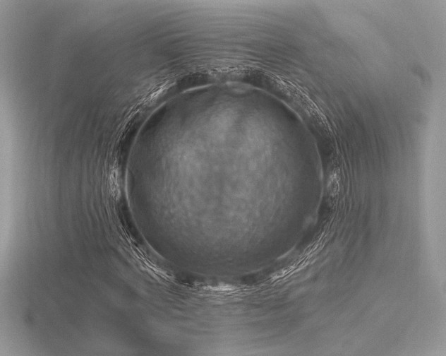 X0000116490772200912091420