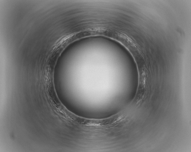 X0000116490773200912091420