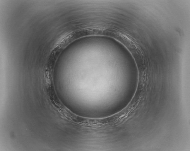 X0000116490774200912091420