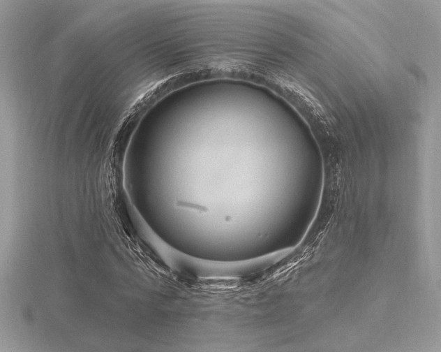 X0000116490776200912091420