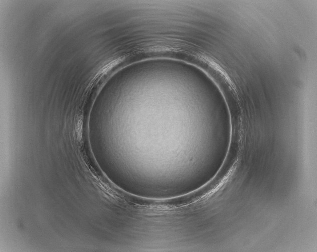 X0000116490777200912091420