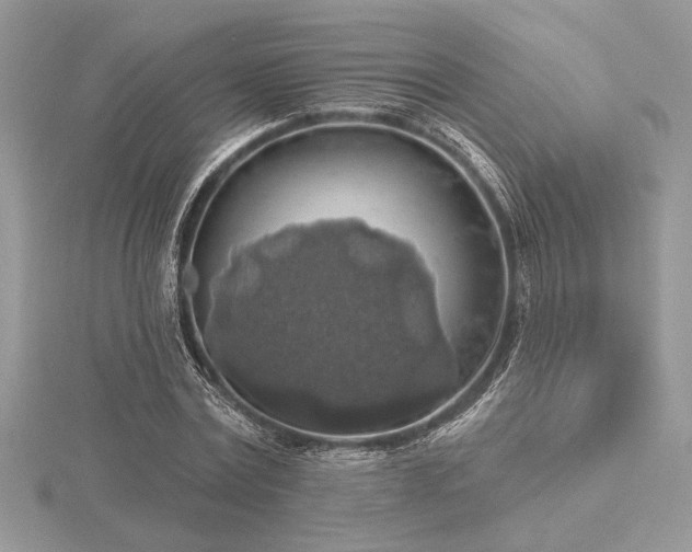 X0000116490779200912091420