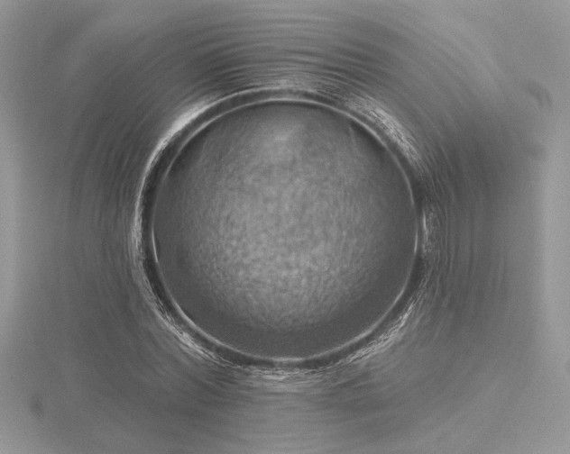 X0000116490780200912091420