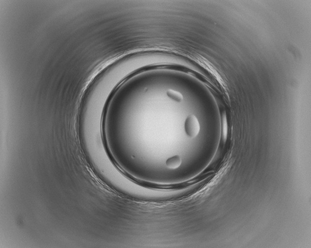 X0000116490781200912091420