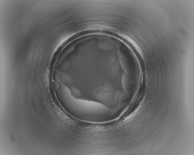 X0000116490783200912091420