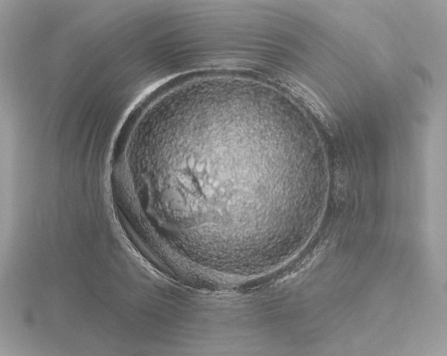 X0000116490784200912091420