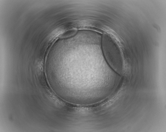 X0000116490785200912091420