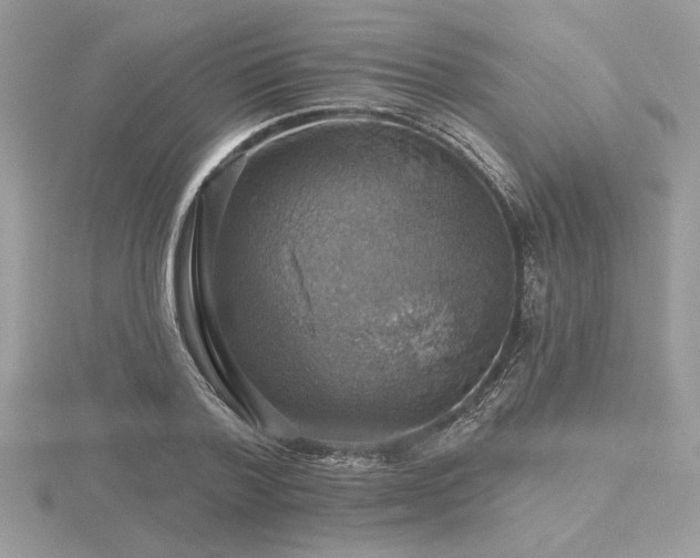 X0000116490788200912091419