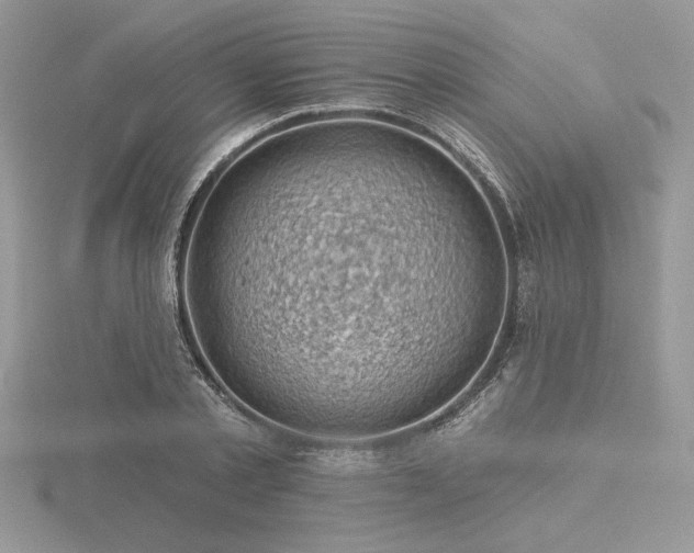 X0000116490789200912091419