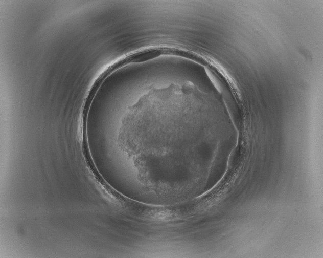 X0000116490791200912091419