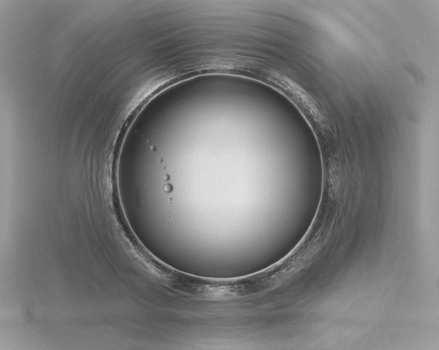 X0000116490794200912091419