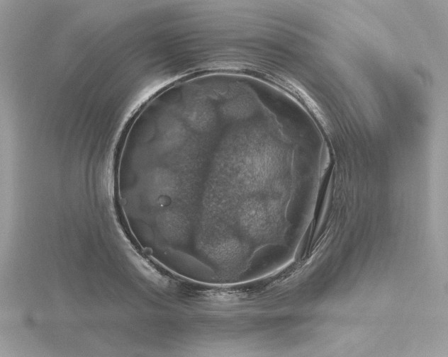 X0000116490795200912091419