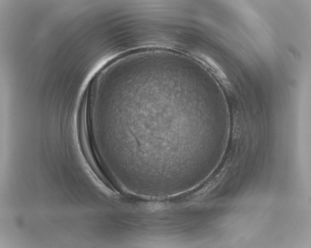 X0000116490796200912091419