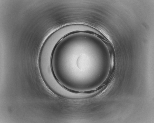 X0000116490797200912091419