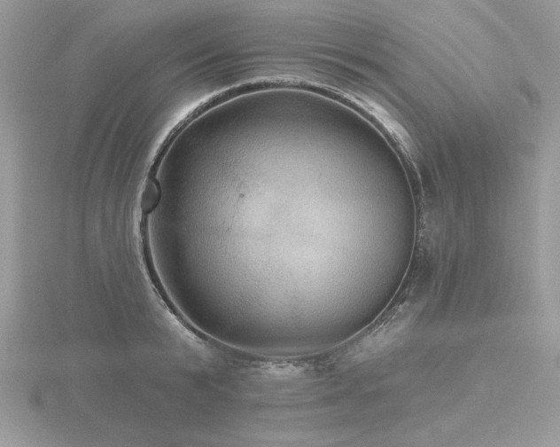 X0000116490799200912091419