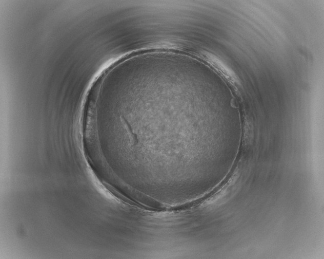 X0000116490800200912091419