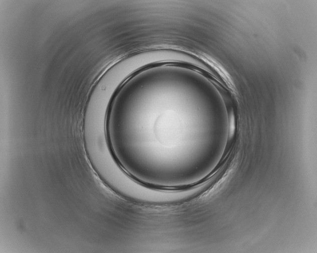 X0000116490801200912091419