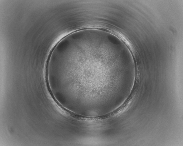 X0000116490803200912091419