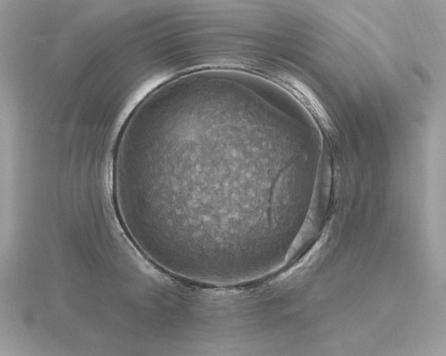 X0000116490804200912091419