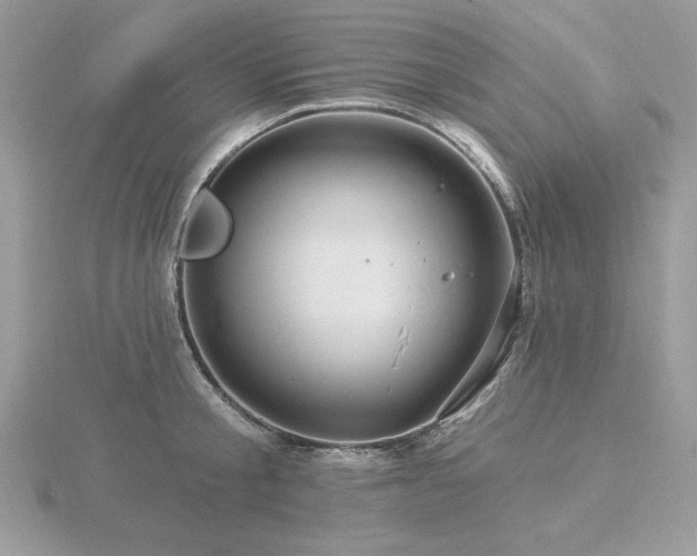 X0000116490805200912091419