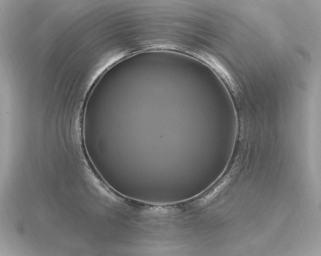 X0000116490806200912091419