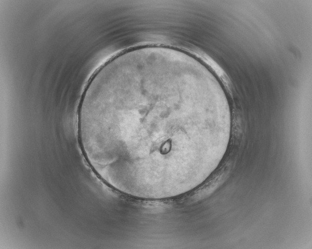 X0000116490807200912091419