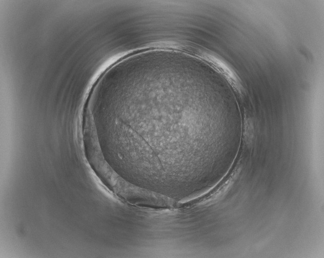 X0000116490808200912091419