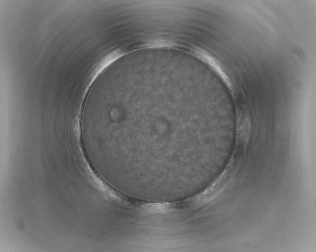 X0000116490810200912091419